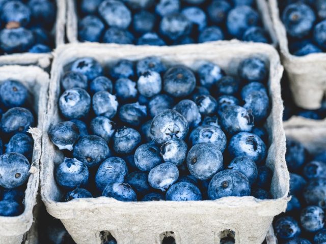 Fruits locaux ou surgelés : lequel est le plus nutritif ?