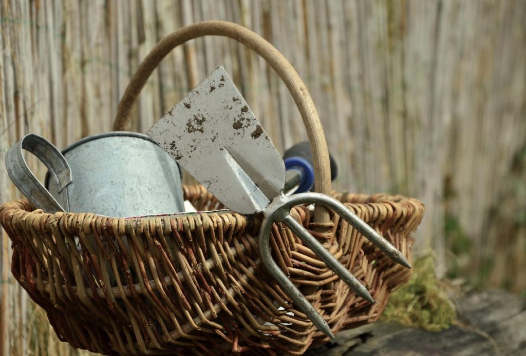 Avis et retours sur les kits de jardinage Potager City