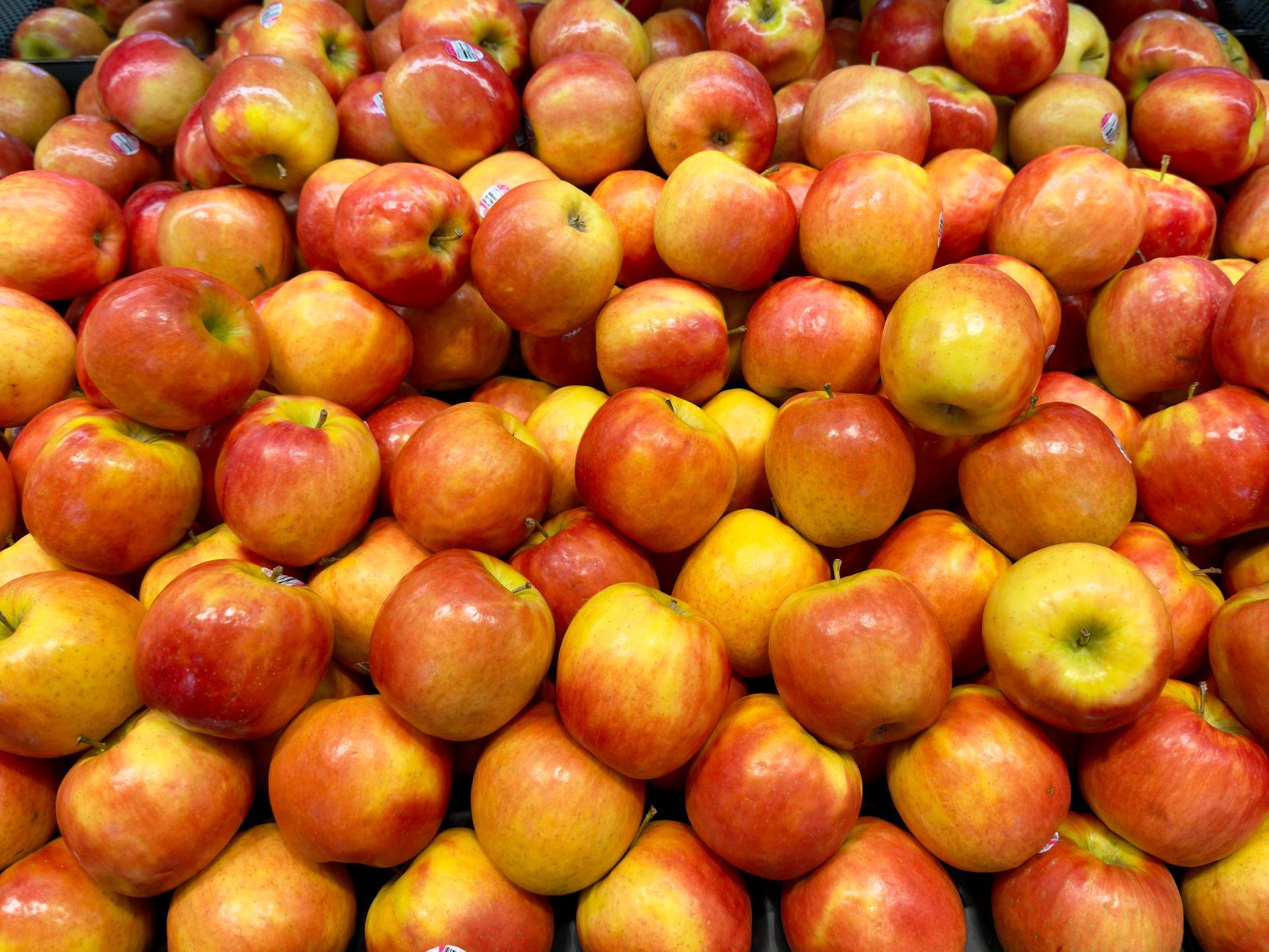 Fruits locaux ou surgelés : lequel est le plus nutritif ?